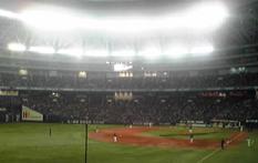 130224_2055~01.JPG