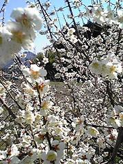 140328_1223~01.JPG