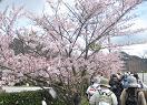 2012.4.21-05.jpg