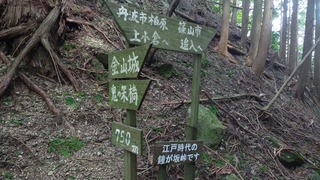 20221004_143047.jpg