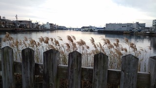 DSC_0049.JPG