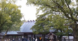 DSC_0050~2.JPG
