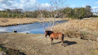 DSC_0055.JPG