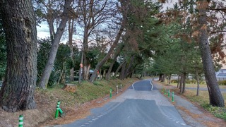 DSC_0060.JPG