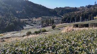 DSC_0115.JPG