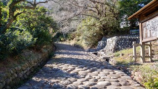 DSC_0118.JPG