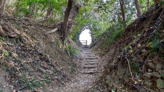 DSC_0151.JPG
