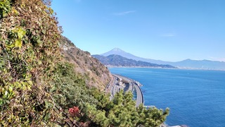 DSC_0163.JPG