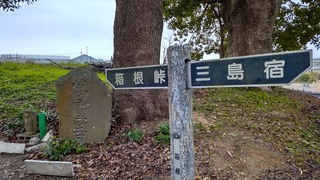 DSC_0210.JPG