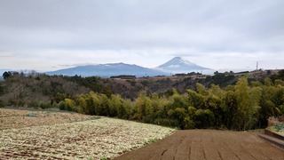 DSC_0211.JPG