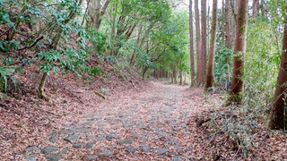 DSC_0214.JPG
