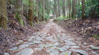 DSC_0215.JPG