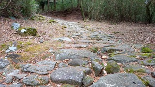 DSC_0216.JPG