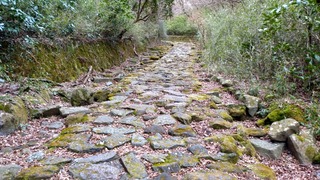 DSC_0222.JPG