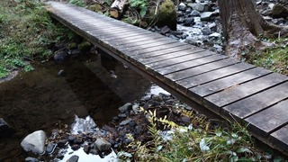 DSC_0232.JPG