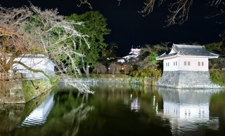 DSC_0234~2.JPG