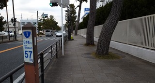 DSC_0242~2.JPG