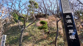 DSC_0251.JPG