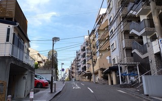 DSC_0253~2.JPG