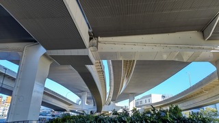 DSC_0256~2.JPG