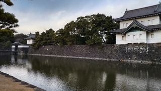 DSC_0290.JPG