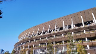DSC_0310.JPG