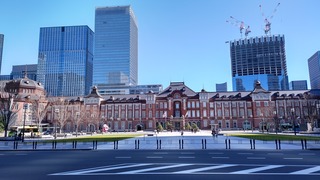 DSC_0321.JPG